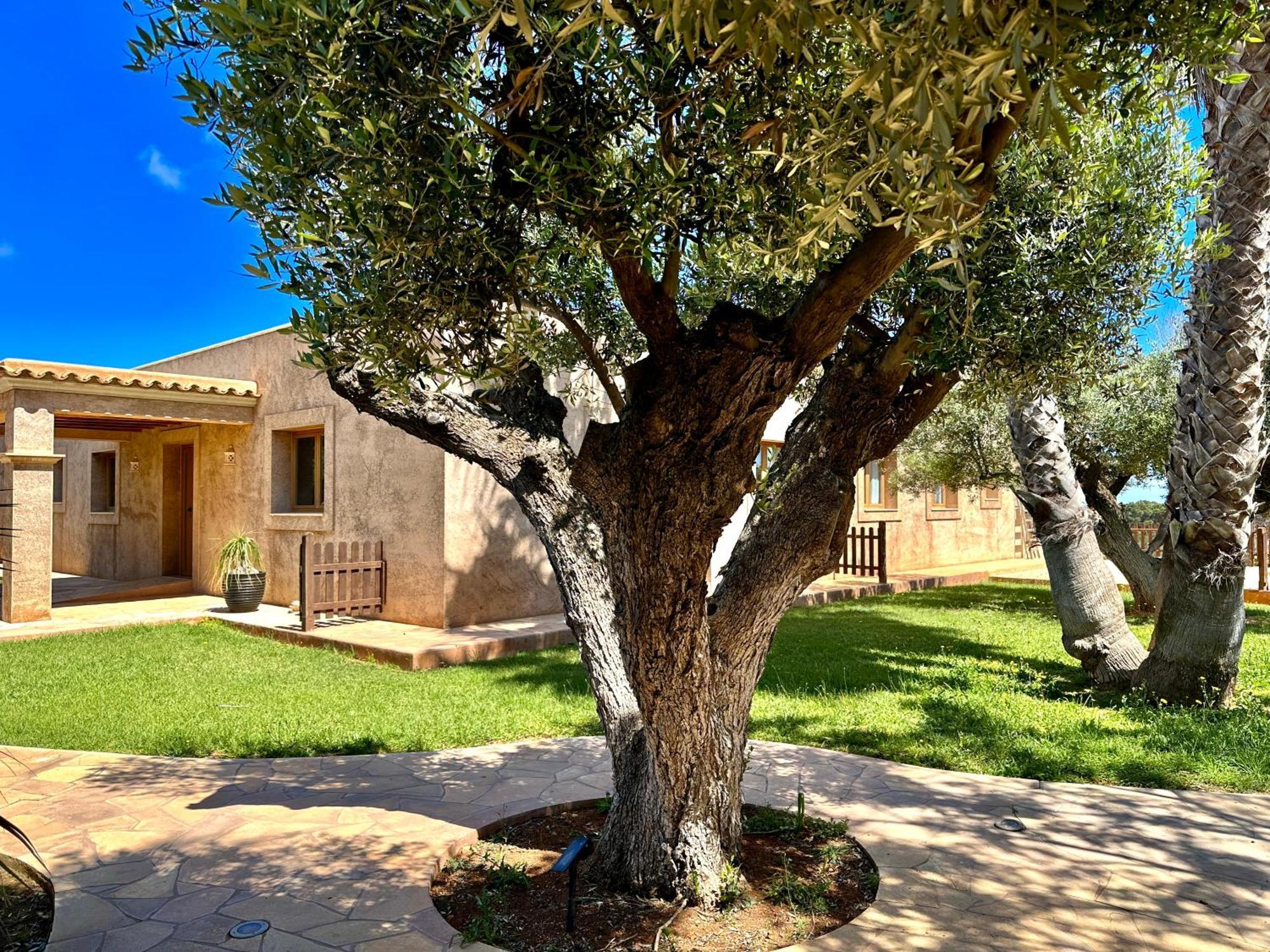Willa Agroturismo Sa Marina - Adults Only Cala Boix Zewnętrze zdjęcie