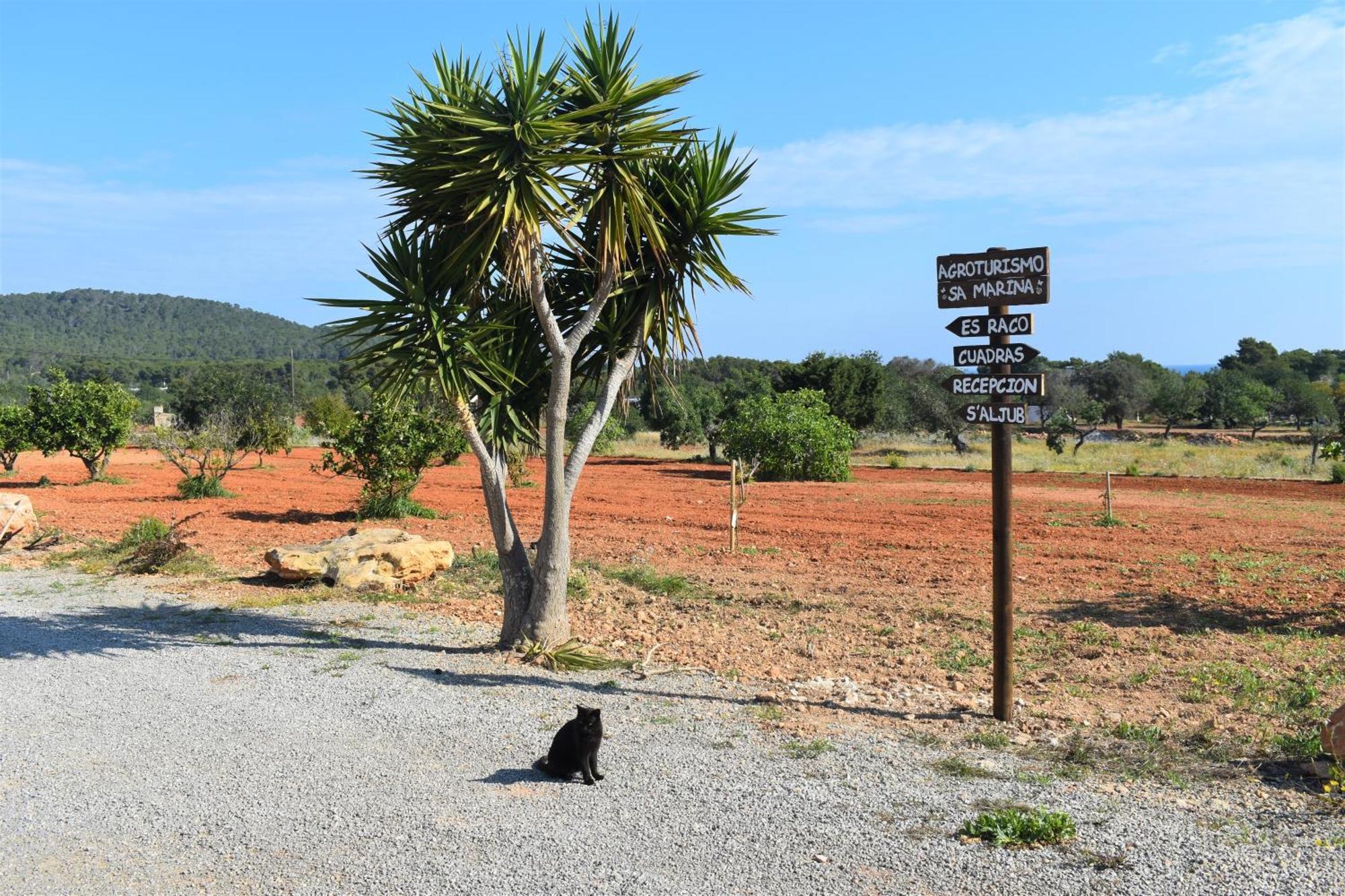 Willa Agroturismo Sa Marina - Adults Only Cala Boix Zewnętrze zdjęcie